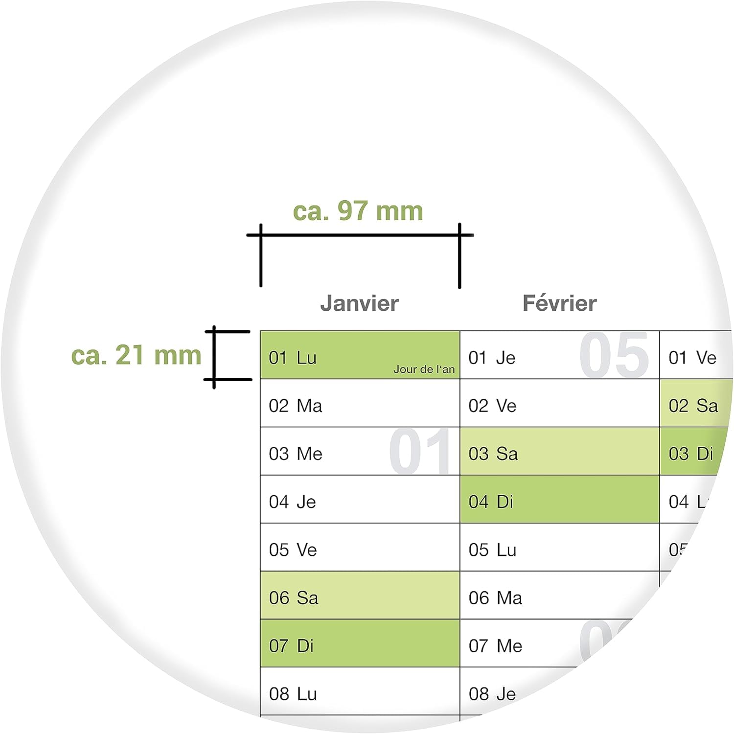 Kalenderoutlet Din A0, 5 calendriers muraux/annuels verts XL 2025 grand format A0 118,8 x 84,0 cm matériel 135g/m2 impression de qualité plié calendrier annuel, calendrier - français