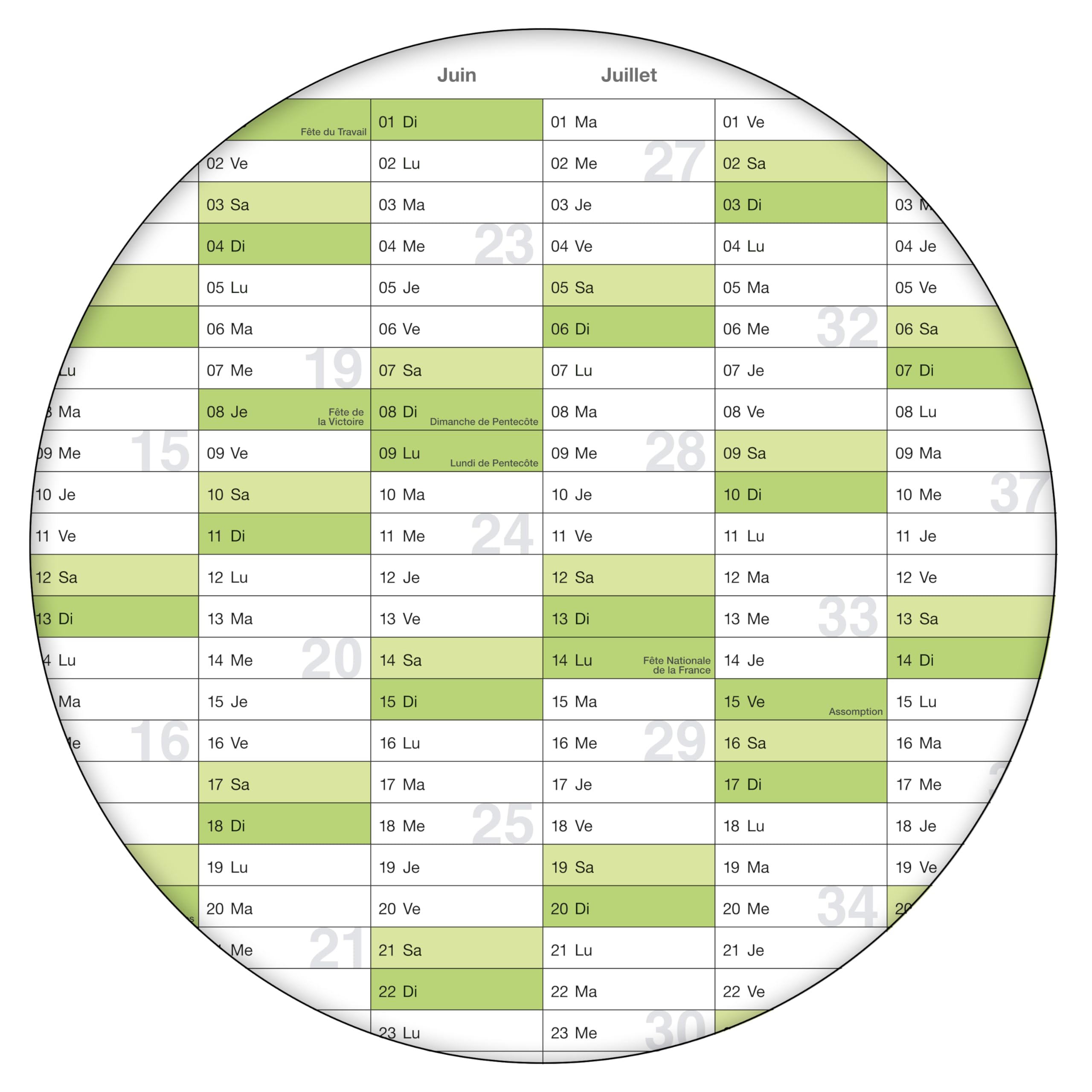 1 Agenda mural effaçable Calendrier mural planner vert 2025 (100,0 x 70,0 cm avec 1 x 4 marqueurs) enroulé - calendrier mural, calendrier annuel, calendrier - français