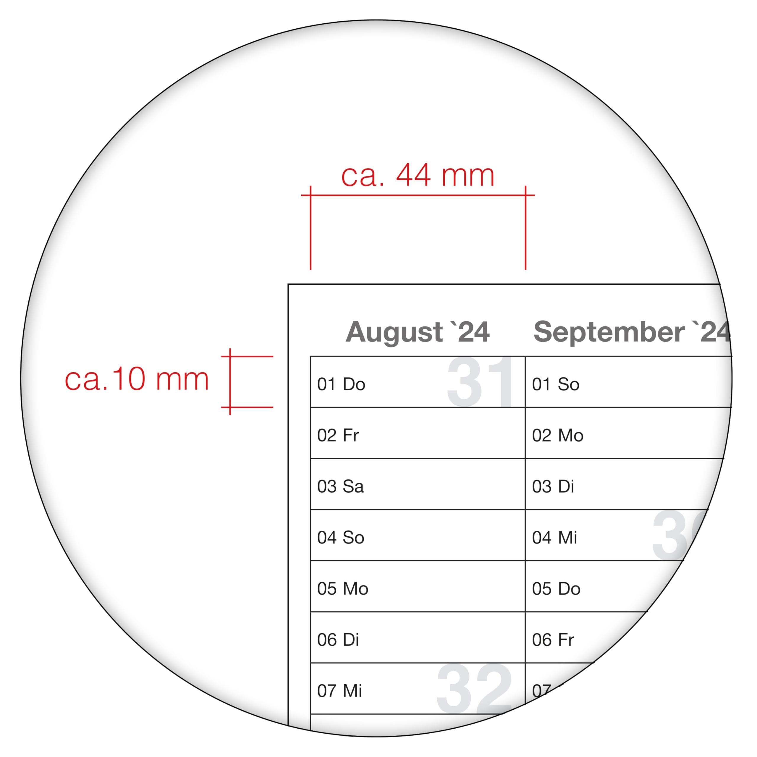 Abwischbarer Schülerkalender 2024/2025 grün inkl.1 Marker DIN A2 59,4x42,0cm 250g Papier gerollt Schuljahreskalender Kalender für Schüler und Lehrer Schulkalender Wandkalender. Deutsche Sprache