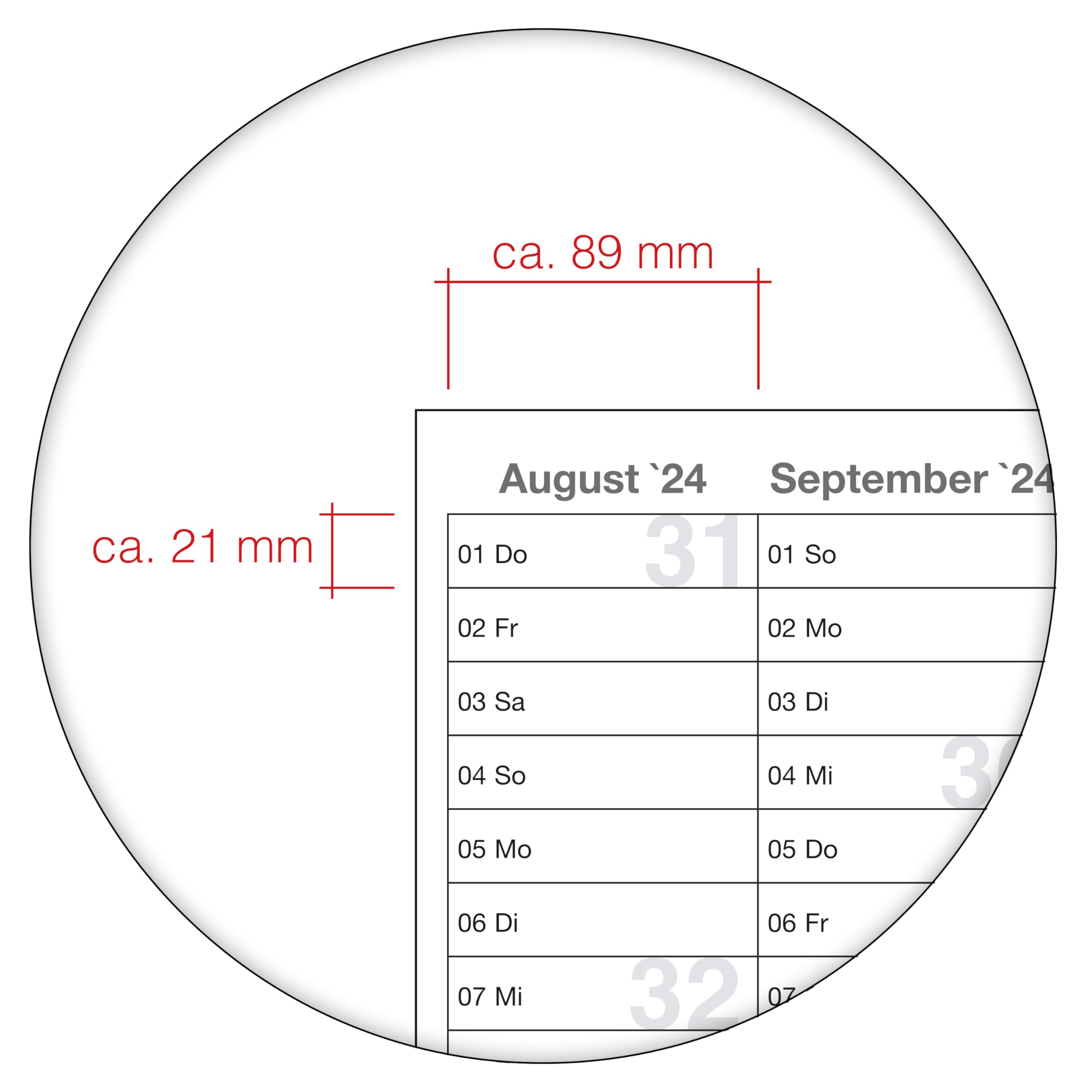 XL Schülerkalender 2024/2025 Jahresplaner grau Format: 118,8 x 84cm- DIN A0 - GEROLLT – Schuljahr 2024/25, Schuljahreskalender, Kalender für Schüler und Lehrer, Schulkalender Wandkalender - deutsch