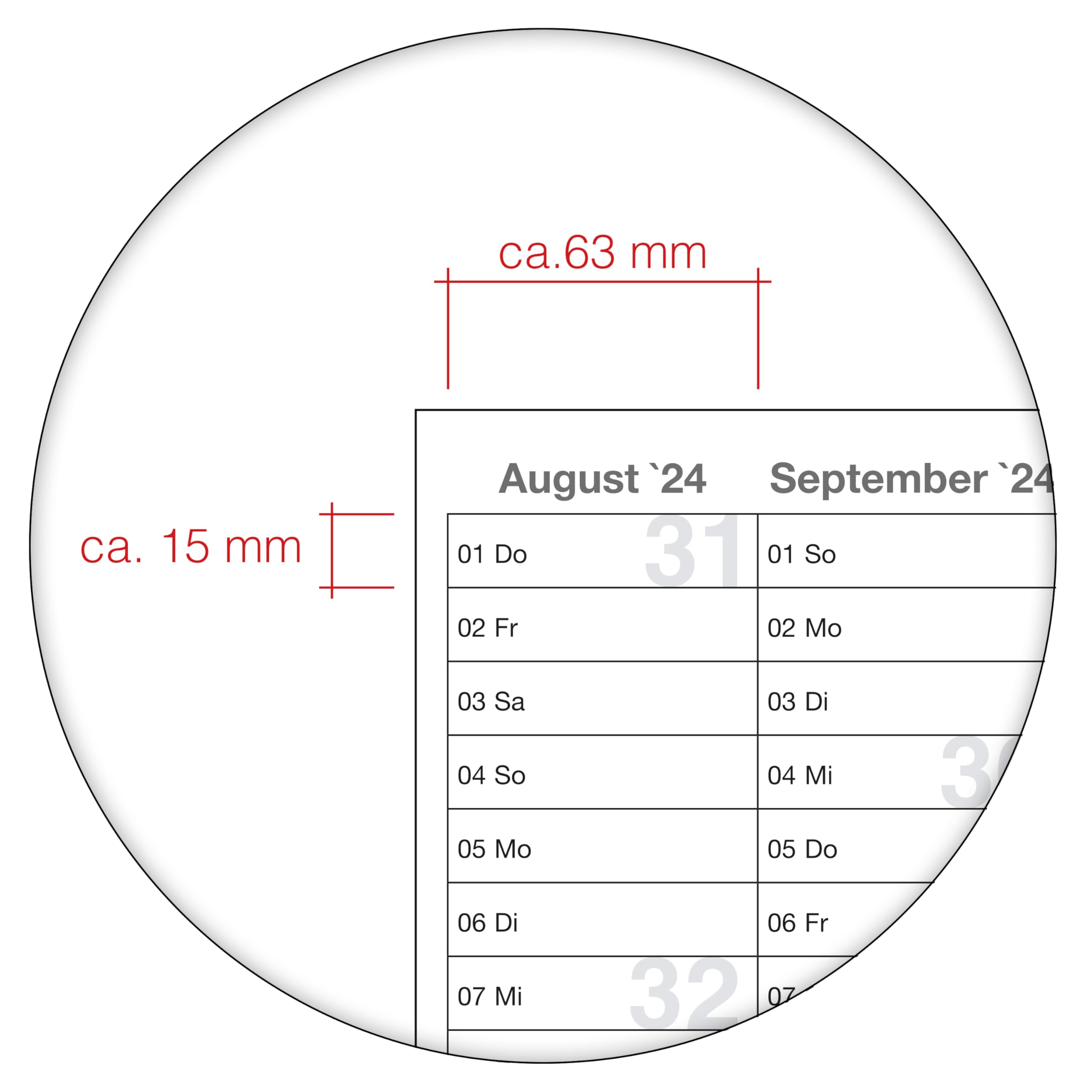 Schülerkalender 2024/2025 Jahresplaner grün Format: 84,0 x 59,0 cm DIN A1 - gefaltet– Schuljahr 2024/25, Schuljahreskalender, Kalender für Schüler und Lehrer, Schulkalender Wandkalender - deutsch