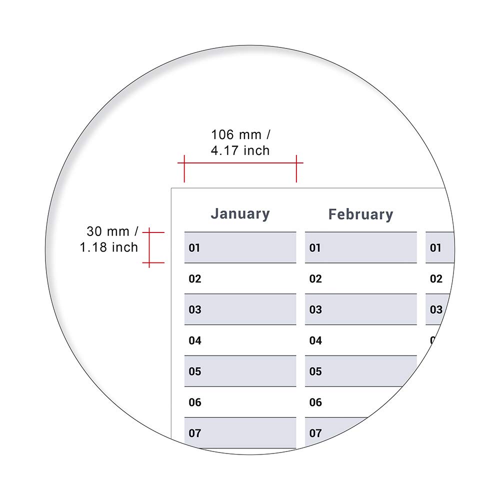Dauerkalender / Geburtstagskalender Format DIN B0 140,0 x 100,0 cm mit Marker dauerhaft wiederverwendbar, Jahresplaner abwischbar - Englisch